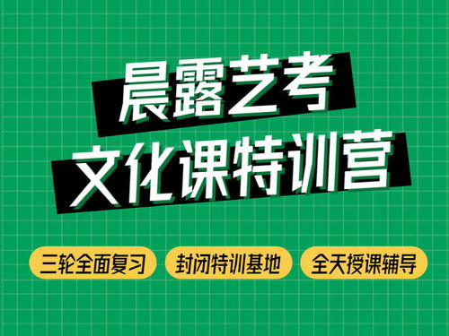 济南晨露学校浅谈山东艺考文化课不能忽视的问题