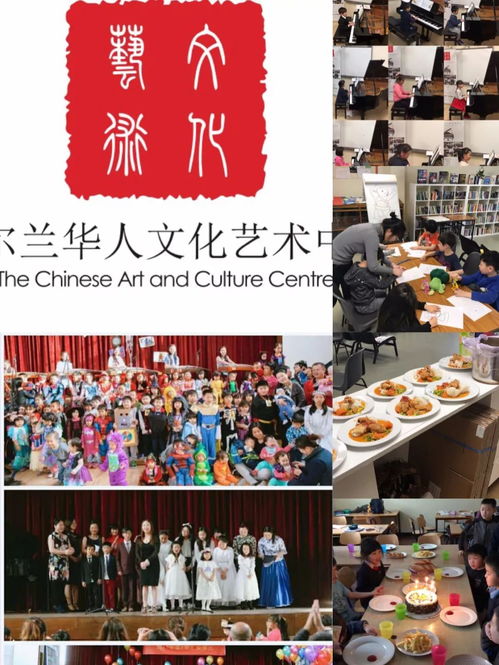 爱尔兰华人文化艺术中心招生啦